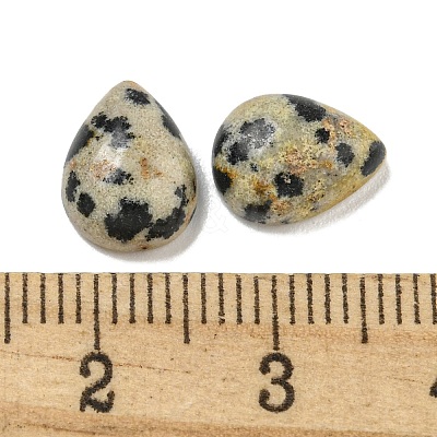 Natural Dalmatian Jasper Cabochons G-Q173-02C-20-1