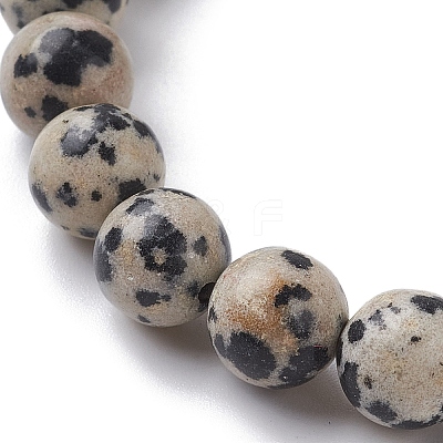 Natural Dalmatian Jasper Stretch Bracelets BJEW-JB10092-06-1