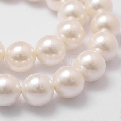 Shell Pearl Bead Strands BSHE-L026-03-14mm-1