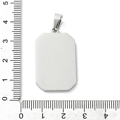 304 Stainless Steel Pendants STAS-C101-08P-04-1