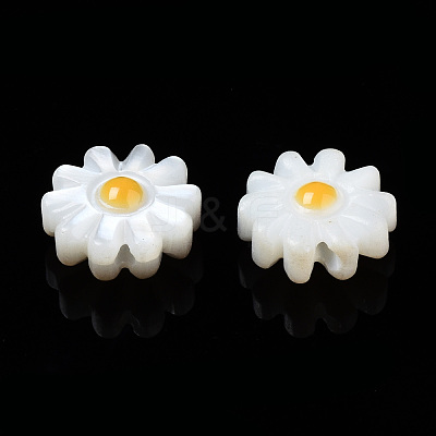 Natural Freshwater Shell Beads SHEL-N003-20B-01-1