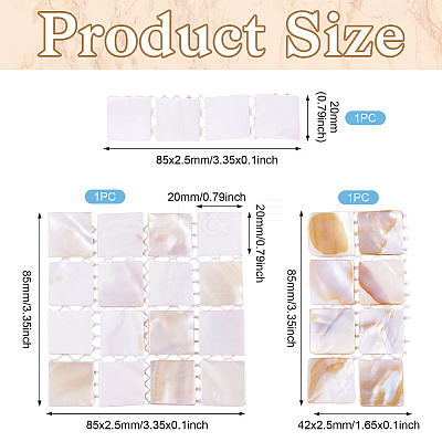 3Pcs 3 Styles Natural Shell Nail Art Display Board ODIS-TA0001-04-1