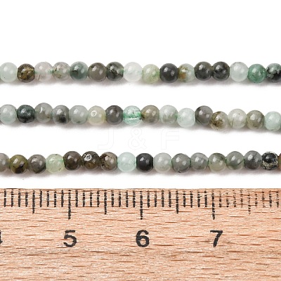 Natural Emerald Beads Strands G-H358-A05-3mm-01-1