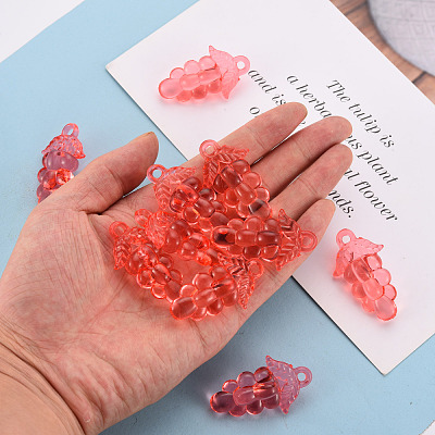 Autumn Theme Transparent Acrylic Beads TACR-S154-60B-910-1