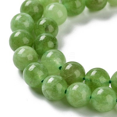 Dyed Natural Malaysia Jade Beads Strands G-G021-02B-04-1