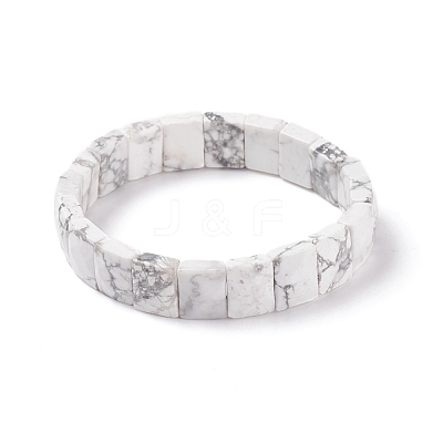 Natural Howlite Stretch Bracelets BJEW-F406-B21-1
