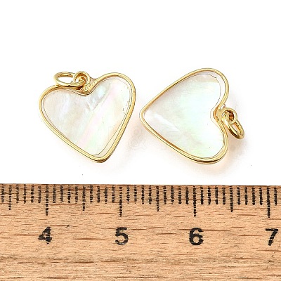 Natural White Shell & Epoxy Resin Charms KK-E794-02G-06-1