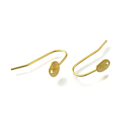 304 Stainless Steel Earring Hooks STAS-B087-09A-G-1