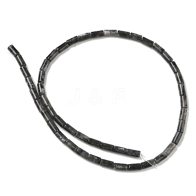 Natural Larvikite Beads Strands G-B091-A20-01-1