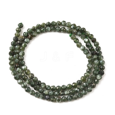 Natural Seraphinite Beads Strands G-K376-A02-3mm-1
