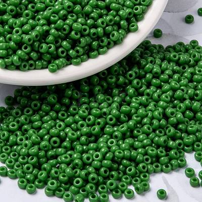 MIYUKI Round Rocailles Beads X-SEED-G008-RR0411-1