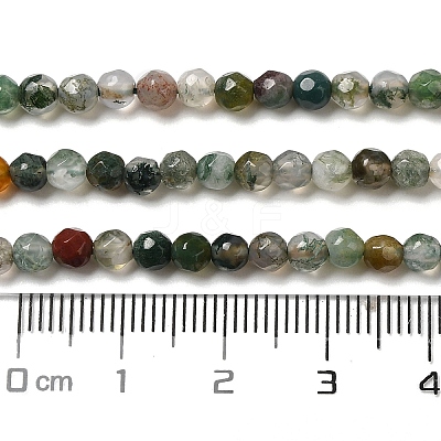 Natural Tree Agate Beads Strands G-H302-A03-02-1