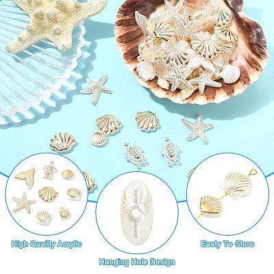 240Pcs 8 Styles ABS Plastic Imitation Pearl Beads OACR-YW0004-46-1