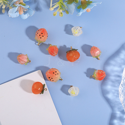 10PCS 5Style Opaque Acrylic Charms SACR-CA0001-20-1