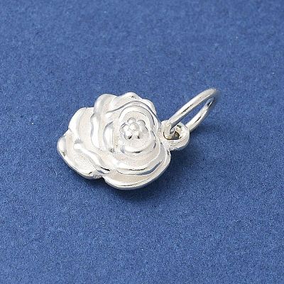 S925 Sterling Silver Pendant STER-H115-08C-S-1