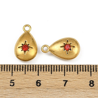 304 Stainless Steel Charms STAS-I342-09G-1