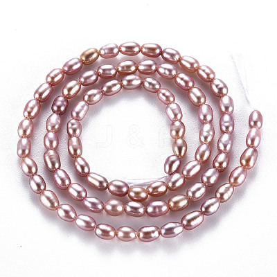 Natural Cultured Freshwater Pearl Beads Strands PEAR-N012-02D-1