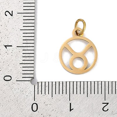 Ion Plating(IP) 304 Stainless Steel Charms STAS-R135-05G-05-1