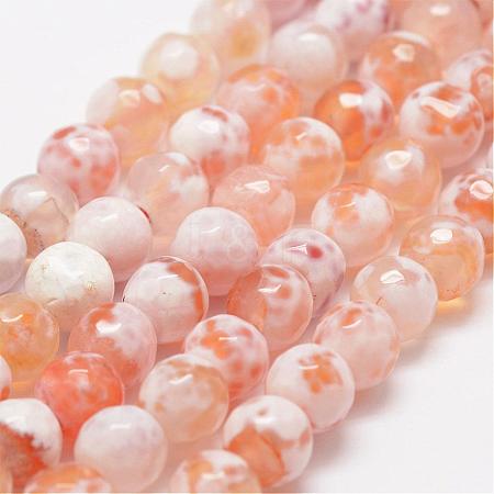 Faceted Natural Fire Crackle Agate Beads Strands G-F447-6mm-B03-1