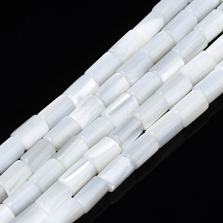 Natural Freshwater Shell Beads Strands SHEL-N003-26-A01-1