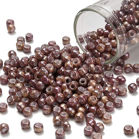 TOHO 6/0 Round Beads SEED-XTR06-1203-1