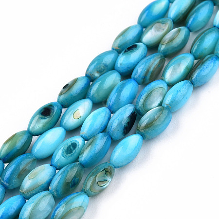 Natural Freshwater Shell Beads Strands SHEL-N026-212-B02-1
