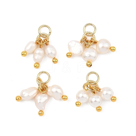 4Pcs 4 Styles Shell Pearl and Natural Pearl Pendants PALLOY-JF05632-1