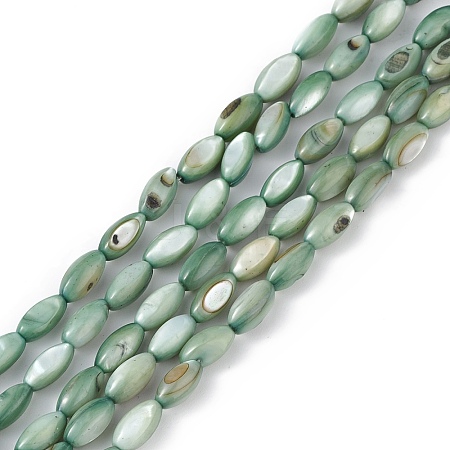 Natural Freshwater Shell Dyed Beads Strands X-SHEL-M018-13-11-1