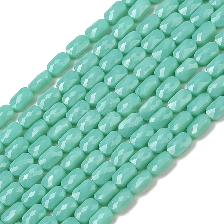 Opaque Glass Beads Strands GLAA-Z018-D21-1
