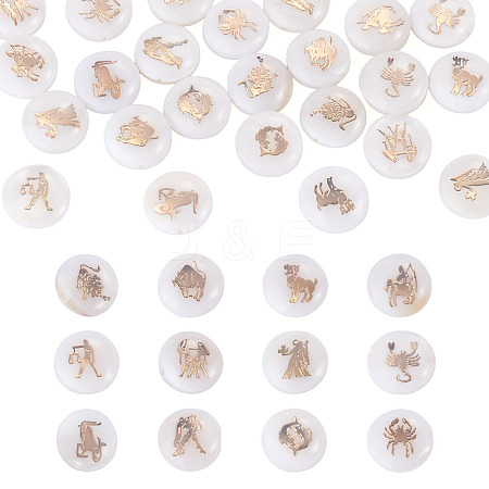 24Pcs 12 Styles Natural Freshwater Shell Beads SHEL-TA0001-42-1