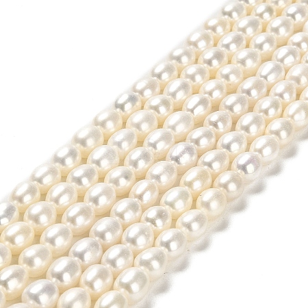 Natural Cultured Freshwater Pearl Beads Strands PEAR-E016-167-1