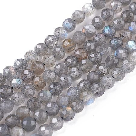 Natural Labradorite Beads Strands X-G-R475-025C-1