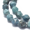 Natural Apatite Beads Strands G-K303-B14-10mm-3