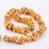 Natural Shell Bead Strands BSHE-P010-06-2