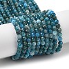 Natural Apatite Beads Strands G-G189-D16-02-1