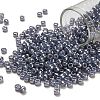 TOHO 6/0 Round Beads X-SEED-TR06-0455-1