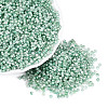 Baking Paint Glass Seed Beads SEED-Q041-03A-03-1