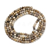 Natural Alashan Agate Beads Strands G-C181-B05-01-3