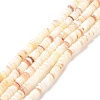 Shell Beads Strands SSHEL-E571-49I-3