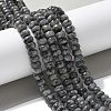 Faceted Natural Labradorite Rondelle Beads Strands G-K090-02-4