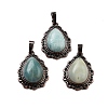 Natural Amazonite Teardrop Pendants G-K363-01R-11-1