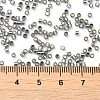 Glass Seed Beads X-SEED-S042-04B-31-4