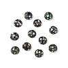 Synthetic Abalone Shell/Paua Shell Beads LS-SSHEL-K001-001C-3