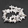 Natural Howlite Chip Beads Strands G-E271-53-2