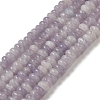 Natural Lepidolite/Purple Mica Stone Beads Strands X-G-K343-C03-02-1