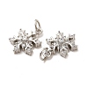 Rack Plating Brass Micro Pave Cubic Zirconia Charms KK-E081-15P-2