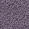 MIYUKI Round Rocailles Beads X-SEED-G007-RR0437-3