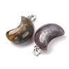 Natural Indian Agate Pendants G-F820-02L-13-3