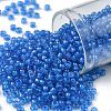 TOHO Round Seed Beads X-SEED-TR08-0309-1