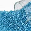 TOHO Round Seed Beads X-SEED-TR15-0931-1